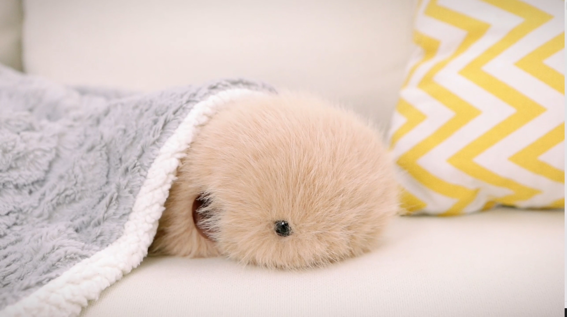 Cupboo contact visual